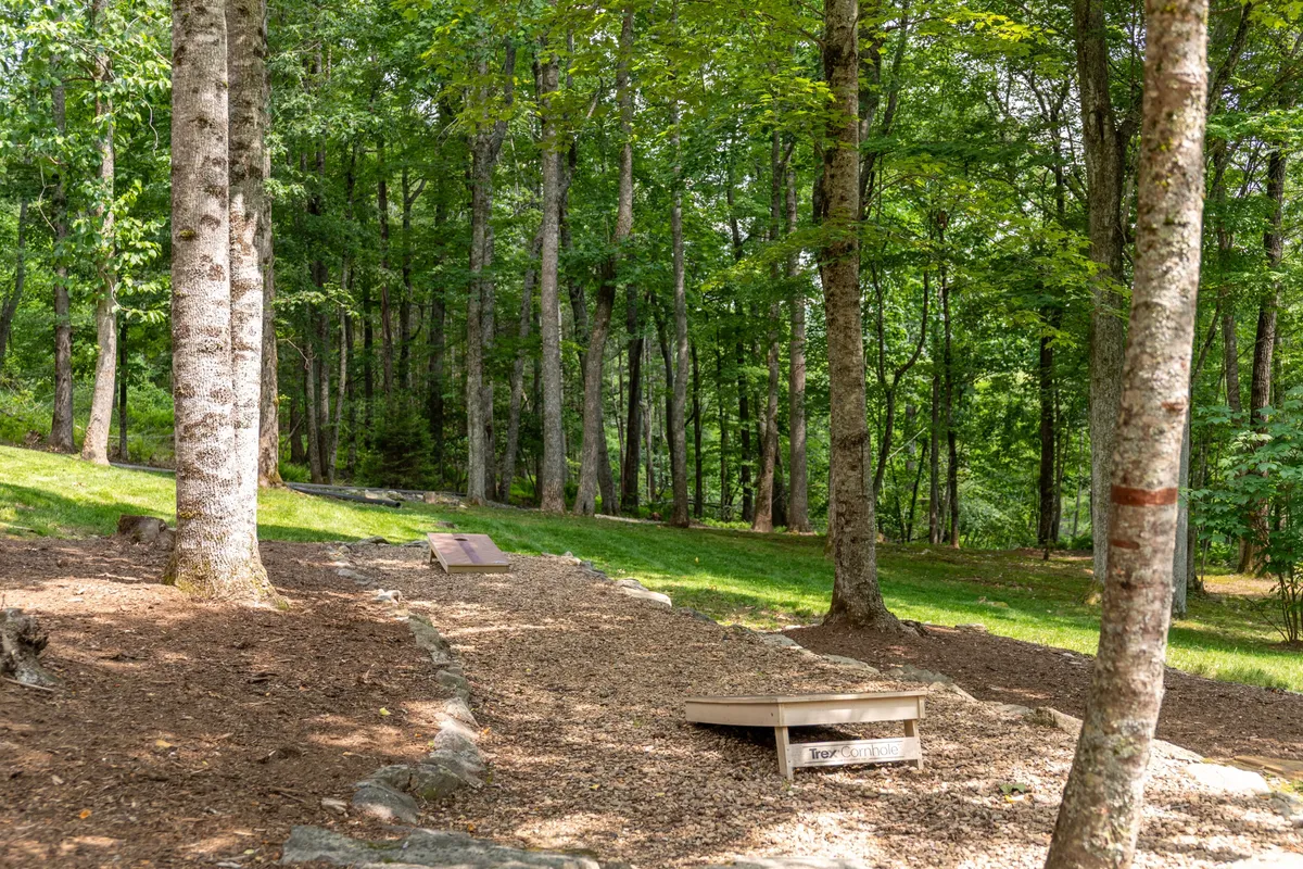 A serene scene of tall trees with a gravel path and wooden platforms, inviting children and adults to play, explore, and enjoy nature. The open space offers opportunities for outdoor games and wildlife spotting.